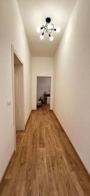 Faby & Fra Apartments Livorno Bagian luar foto